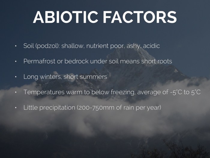 Abiotic factors of taiga biome