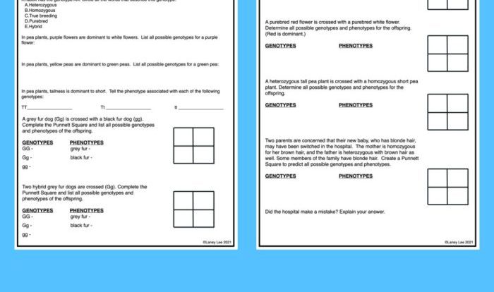 D-day stations activity worksheet answers