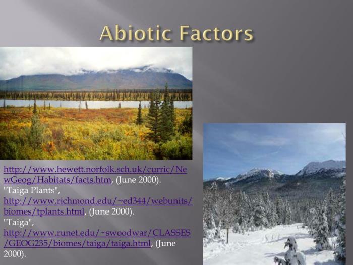 Biome factors abiotic taiga prezi