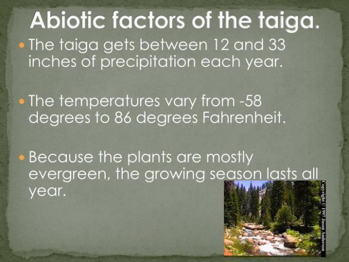 Abiotic factors of taiga biome